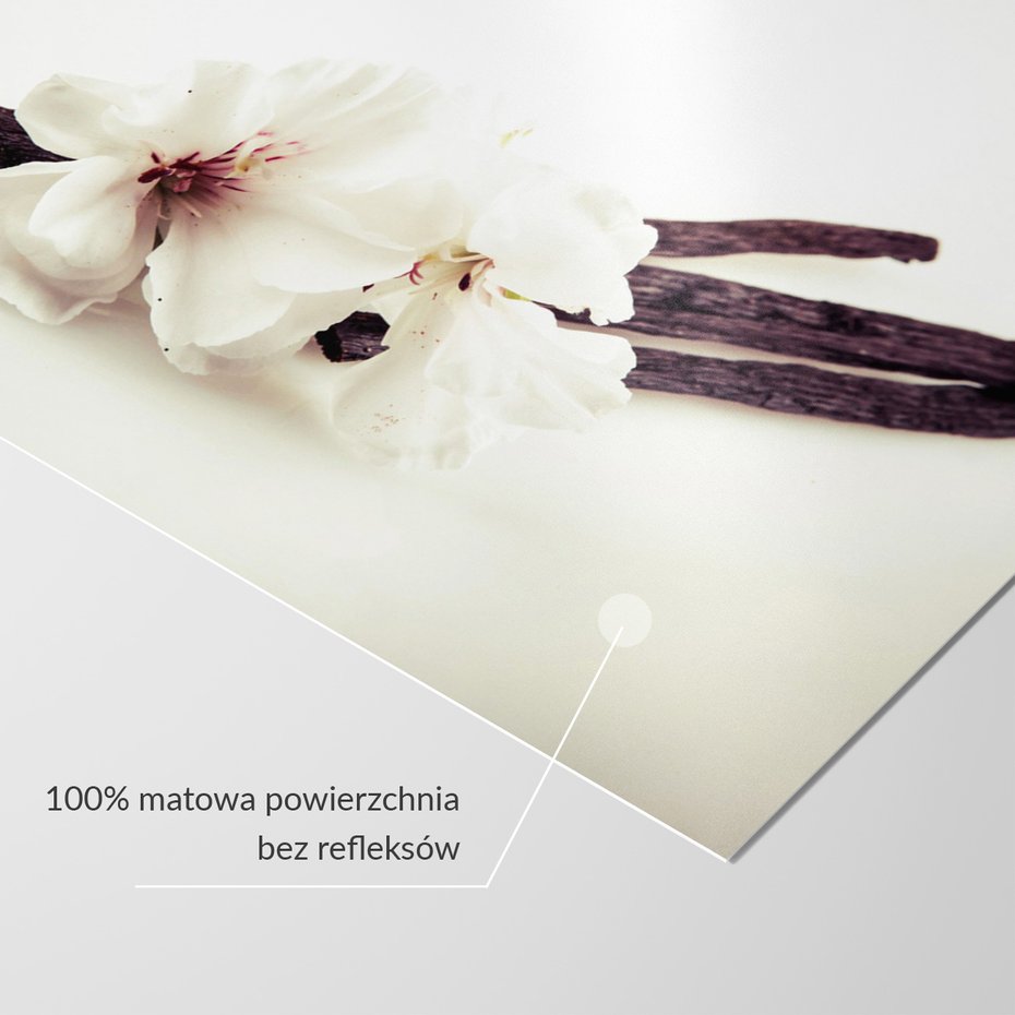 Fototapeta - kwiaty, wanilia, abstrakcja