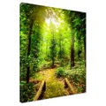 Obraz na płótnie - las, drzewa, ścieżka