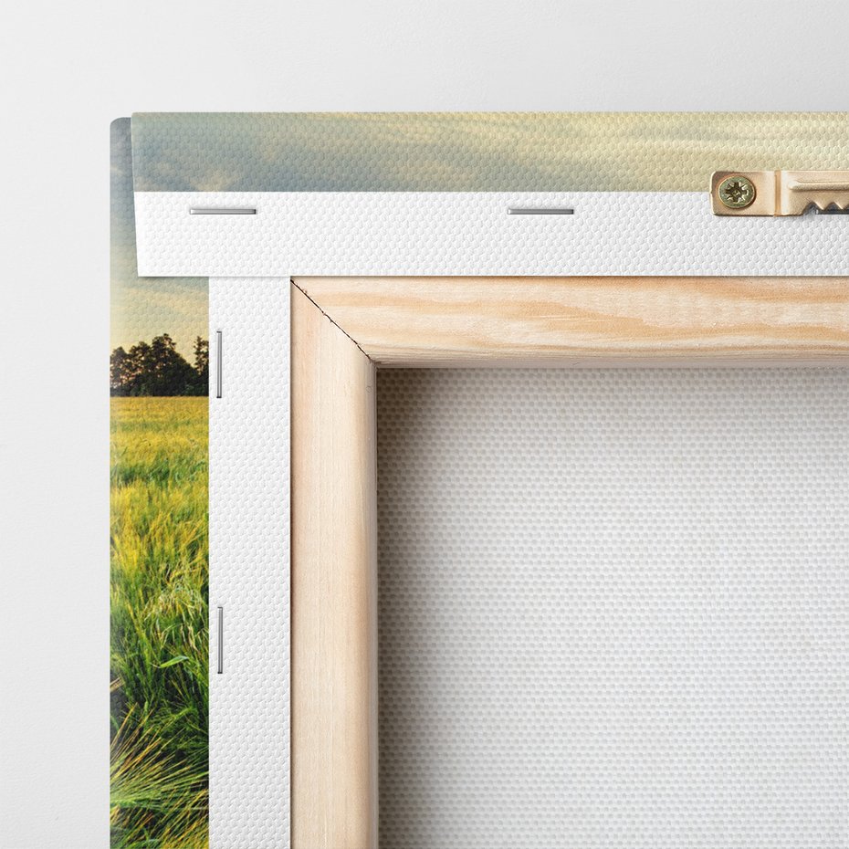 Obraz na płótnie - pole, zboże, lato