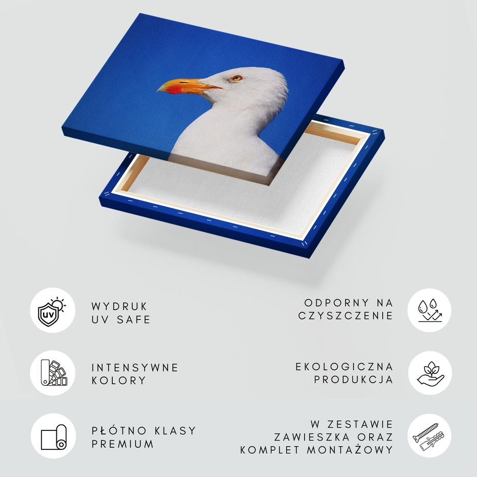 Obraz na płótnie - mewa, ptak, niebo