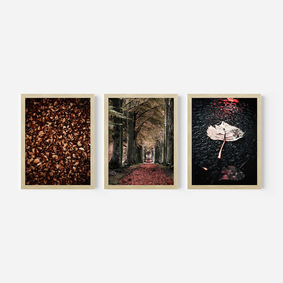 Zestaw obrazy w ramie, plakaty - liście, drzewa, jesień - rama drewno