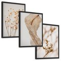 Zestaw obrazy w ramie, plakaty - roślina, kwiat, suszone - rama czarna