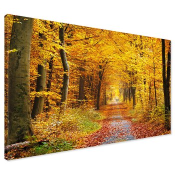 Obraz na płótnie - las, jesień, droga