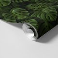 Tapeta - liście, monstera, roślinność
