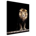 Obraz na płótnie - lew, zwierzę, drapieżnik