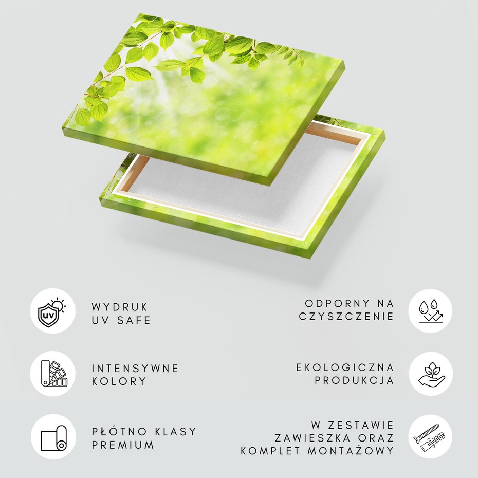 Obraz na płótnie - liście, zieleń, natura