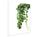 Obraz na płótnie - liście, zielony, roślina