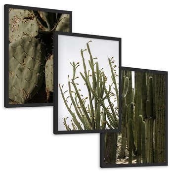 Zestaw obrazy w ramie, plakaty - kaktusy, rośliny, zielony - rama czarna