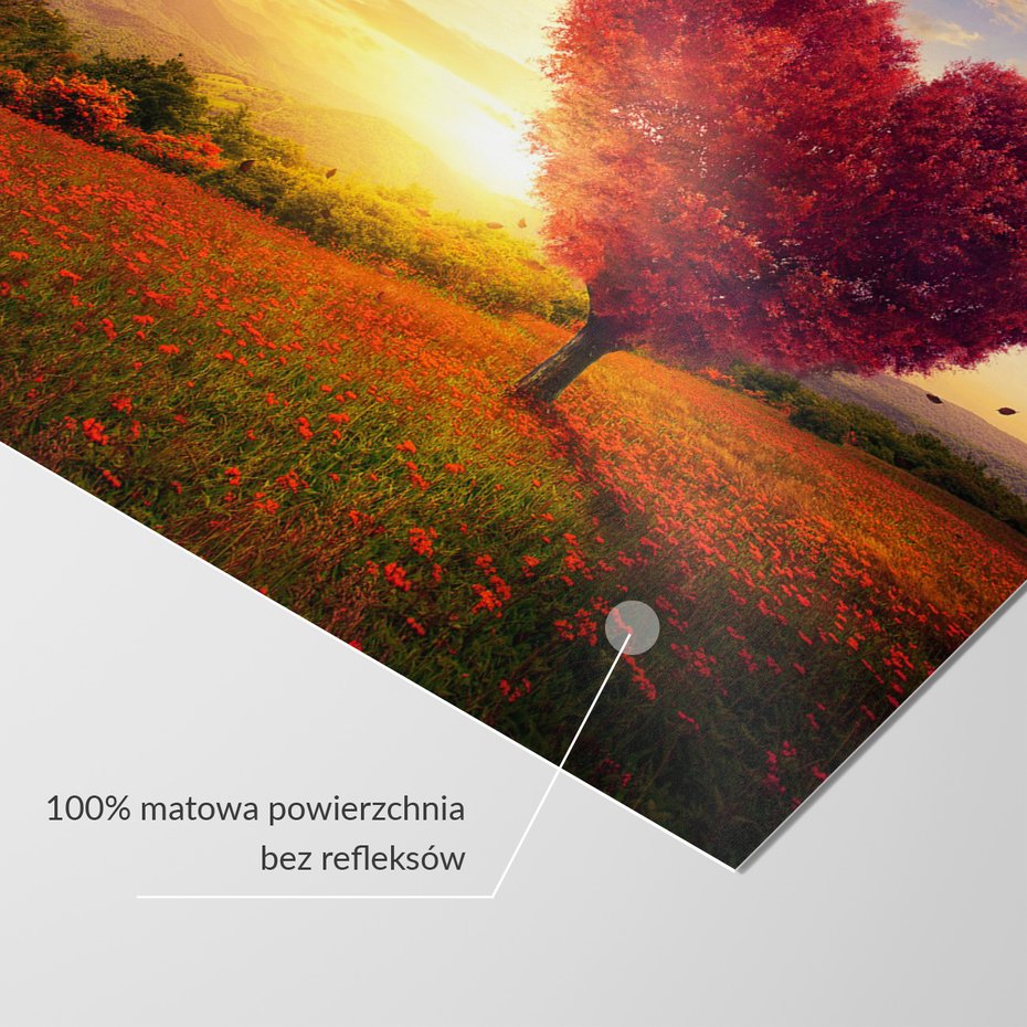 Fototapeta - drzewo serce, krajobraz, kwiaty