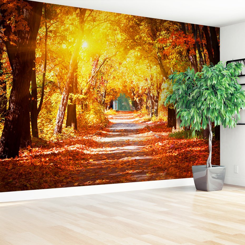 Fototapeta - jesień, liście, droga