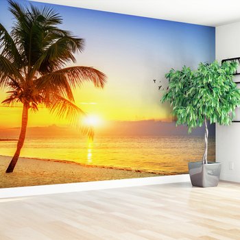 Fototapeta - palma, morze, zachód słońca