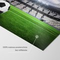 Fototapeta - piłka, stadion, sport