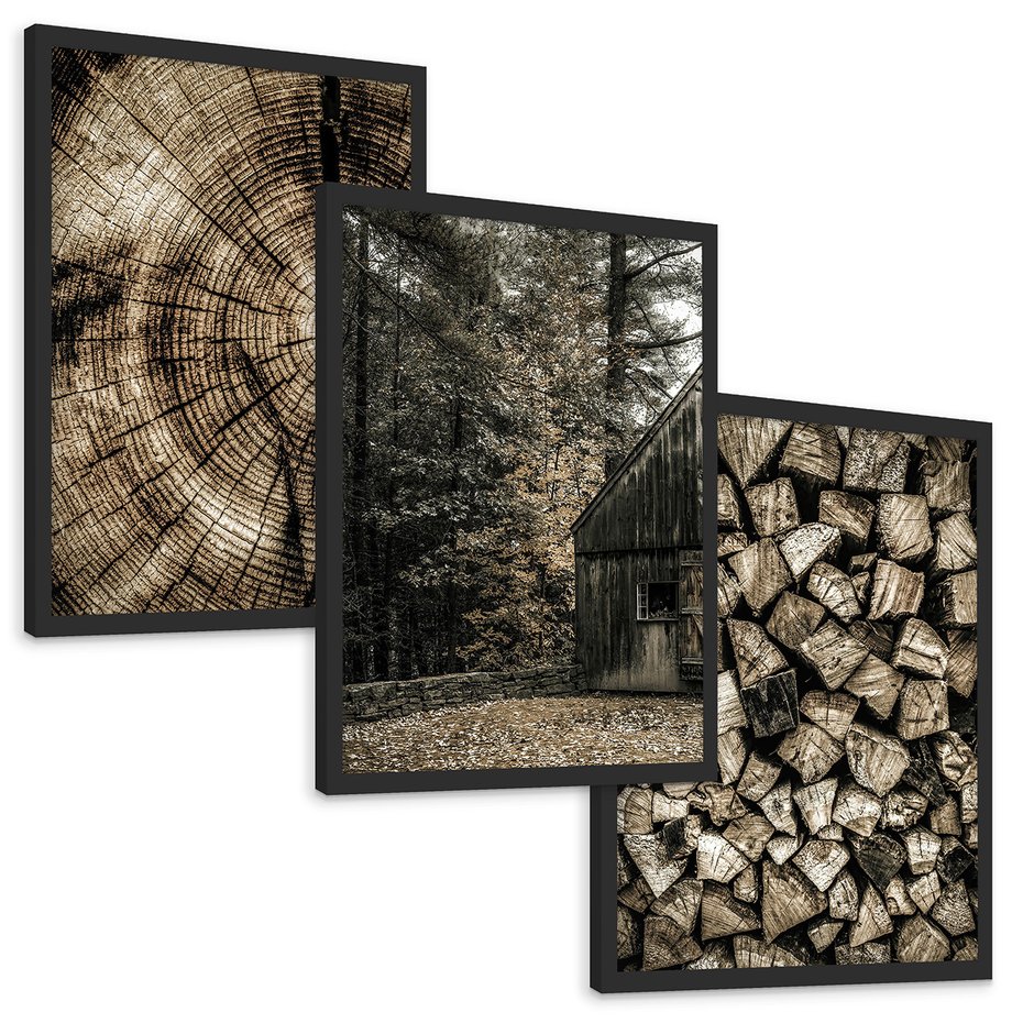 Zestaw obrazy w ramie, plakaty - drewno, kora, natura - rama czarna