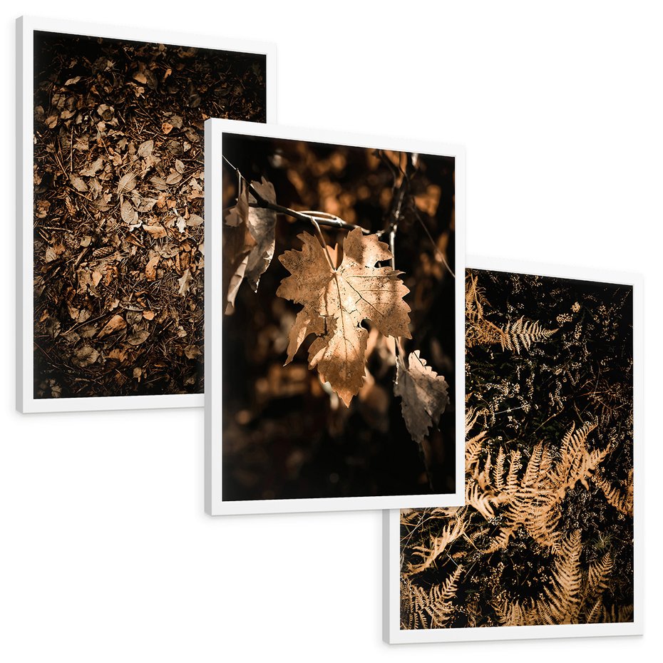 Zestaw obrazy w ramie, plakaty - liście, jesień, brązowy - rama biała