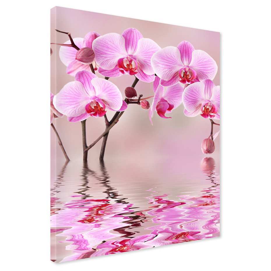 Obraz na płótnie - kwiaty, orchidee, woda