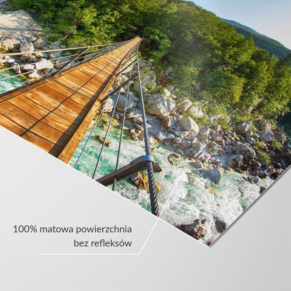 Fototapeta - most, rzeka, las