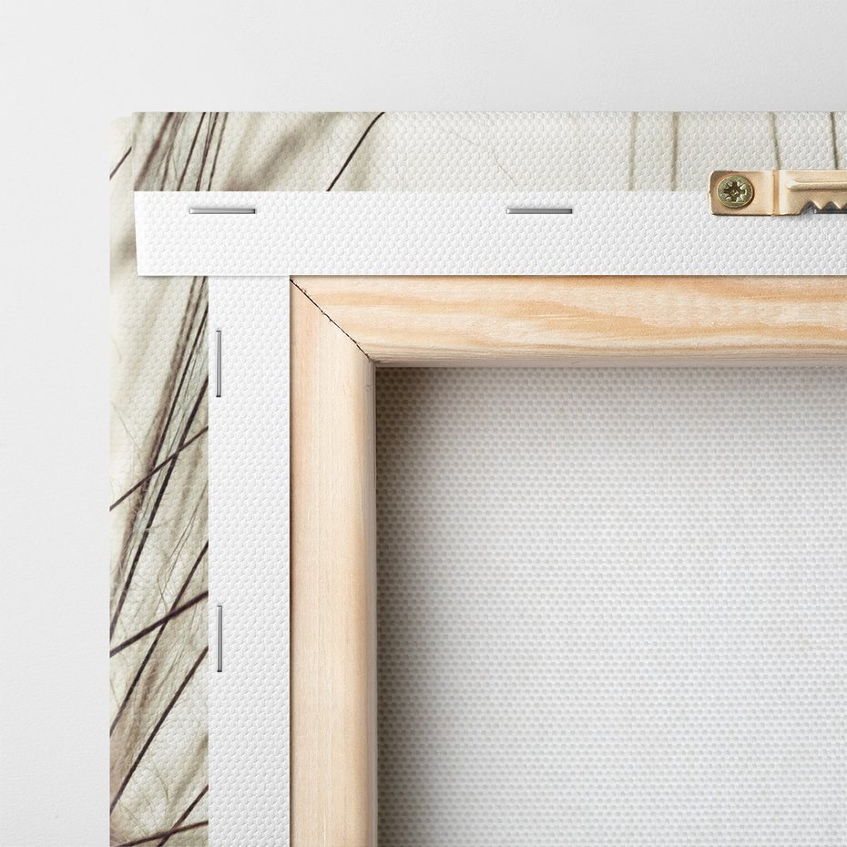 Obraz na płótnie - makro, krople, nasiona