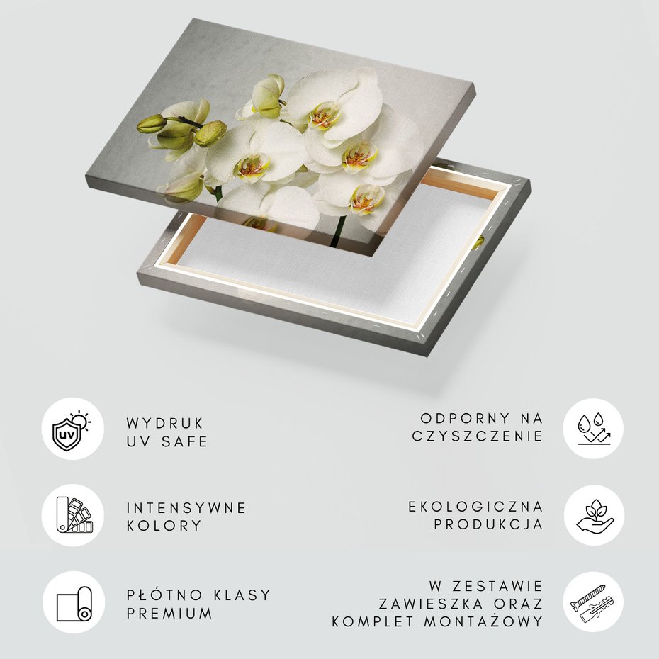 Obraz na płótnie - kwiaty, orchidee, białe,