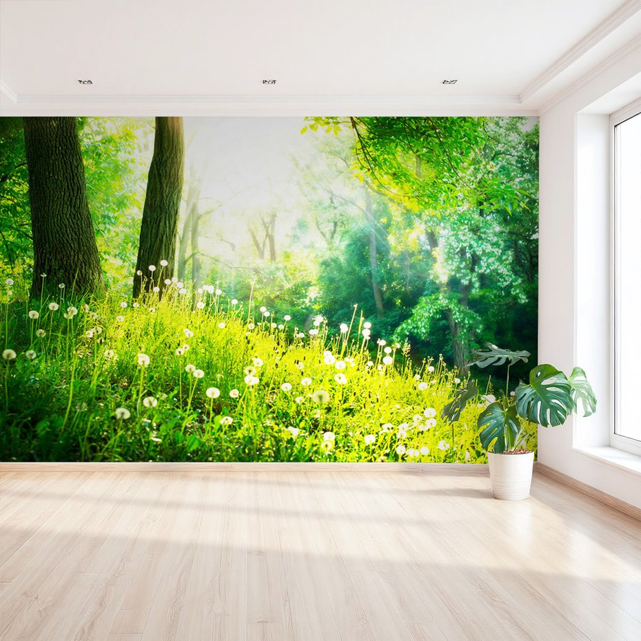 Fototapeta - las, wiosna, natura