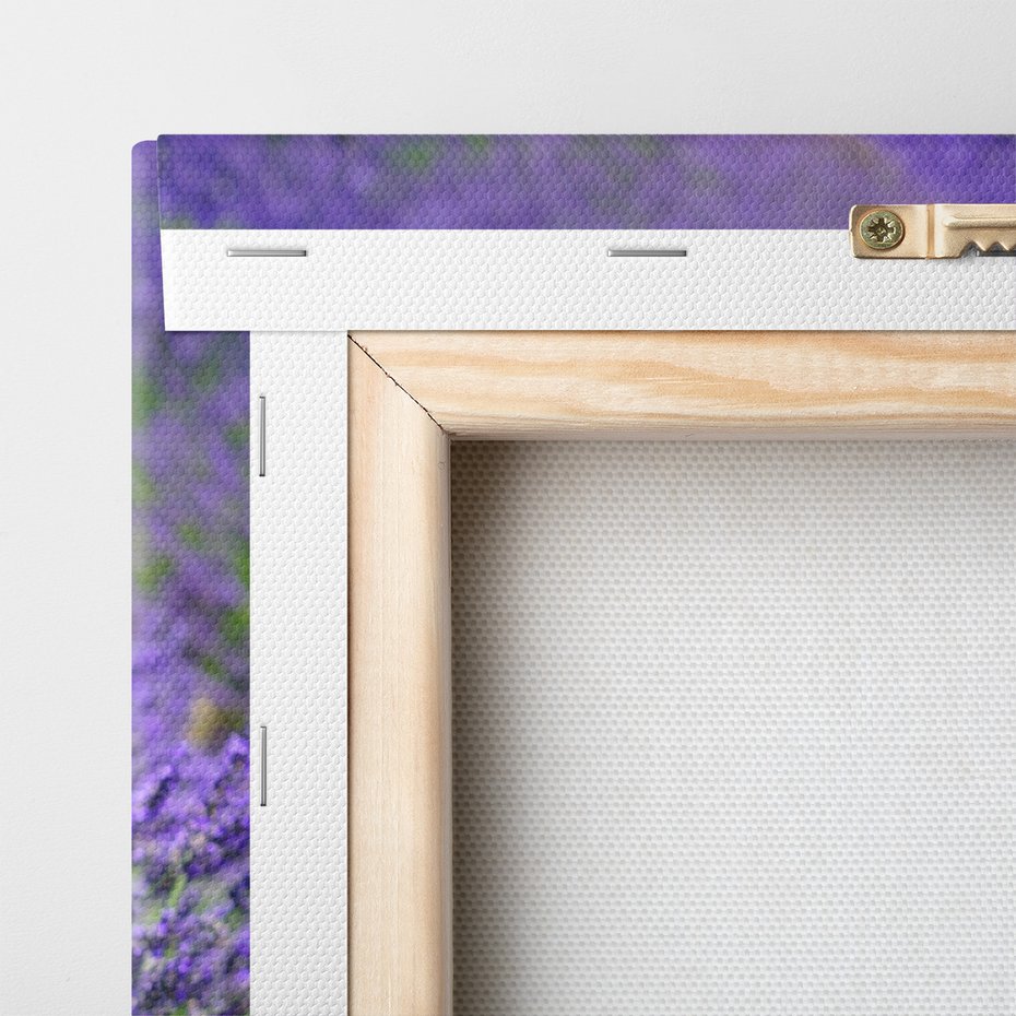 Obraz na płótnie - lawenda, pole, kwiaty