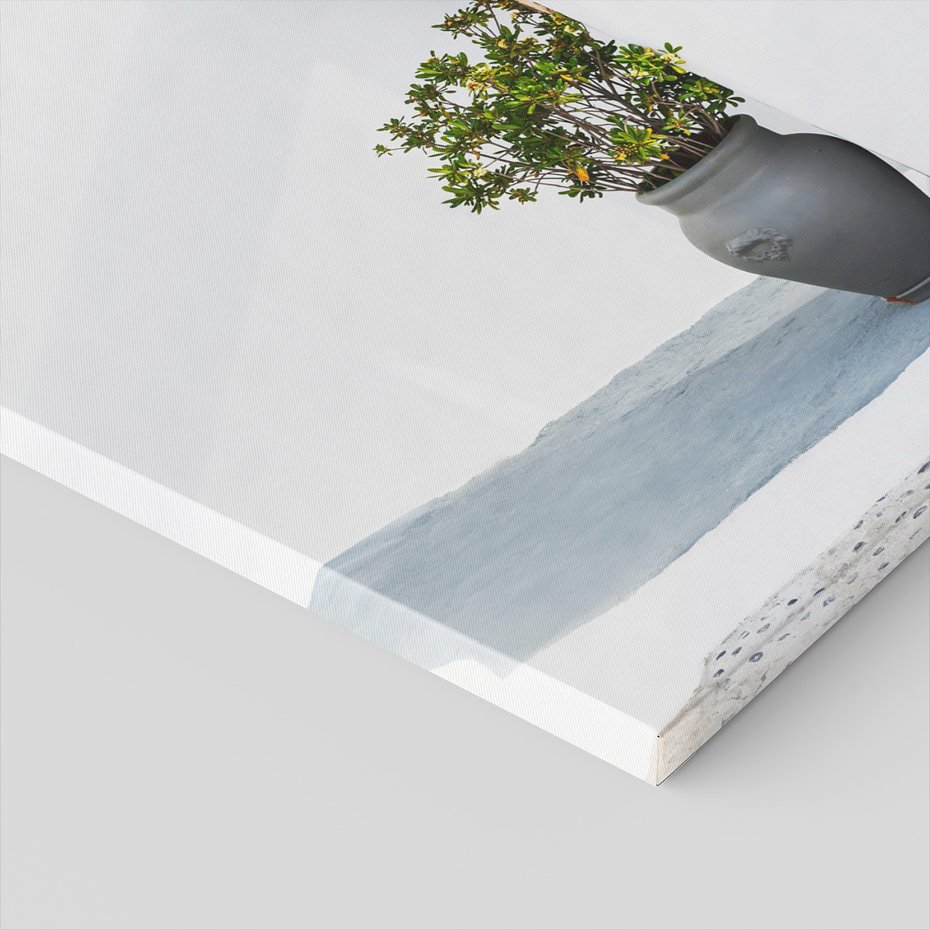 Obraz na płótnie - ściana, roślina, donica