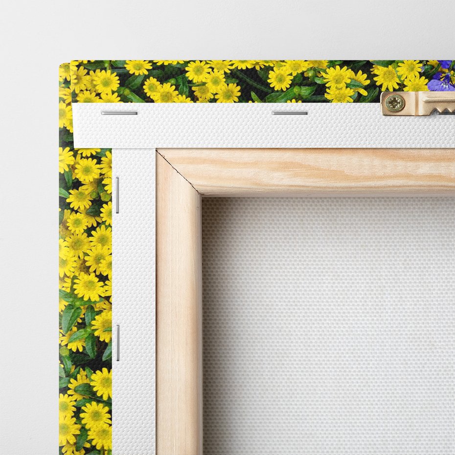 Obraz na płótnie - kwiaty, rośliny, natura