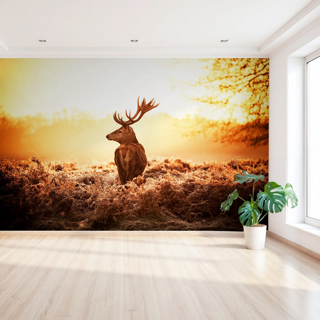 Fototapeta - jeleń, natura, krajobraz