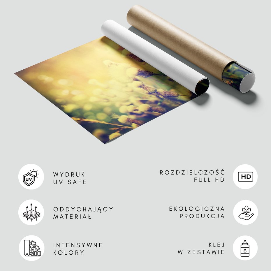 Fototapeta - kwiaty, natura, lato