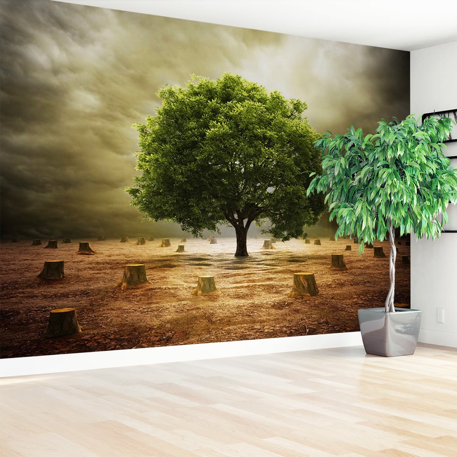 Fototapeta - drzewo, pniaki, natura