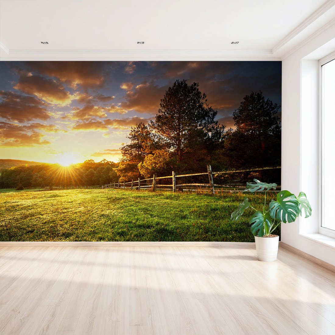 Fototapeta - zachód słońca, krajobraz, drzewa