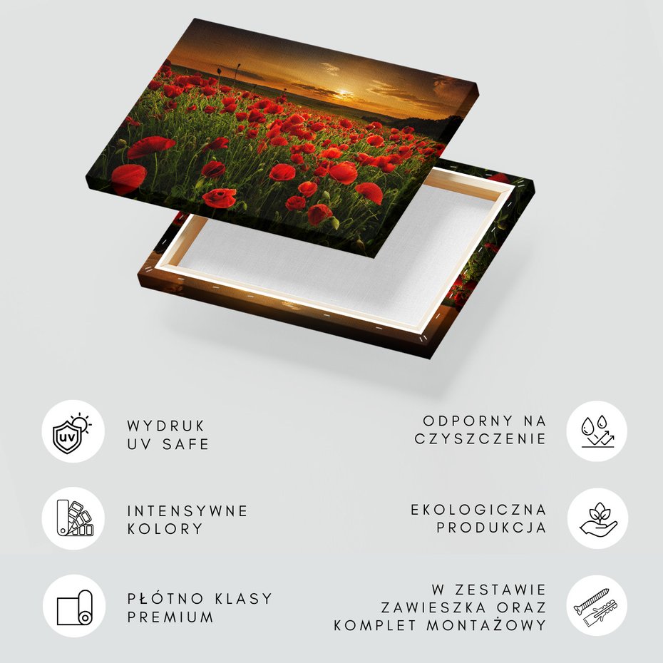 Obraz na płótnie - maki, pole, zachód słońca