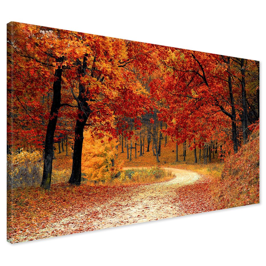 Obraz na płótnie - jesień, liście, las