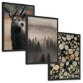 Zestaw obrazy w ramie, plakaty - las, drewno, natura - rama czarna