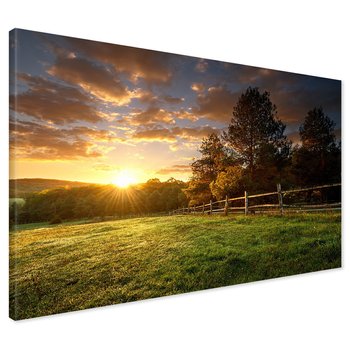 Obraz na płótnie - zachód słońca, trawa, drzewa