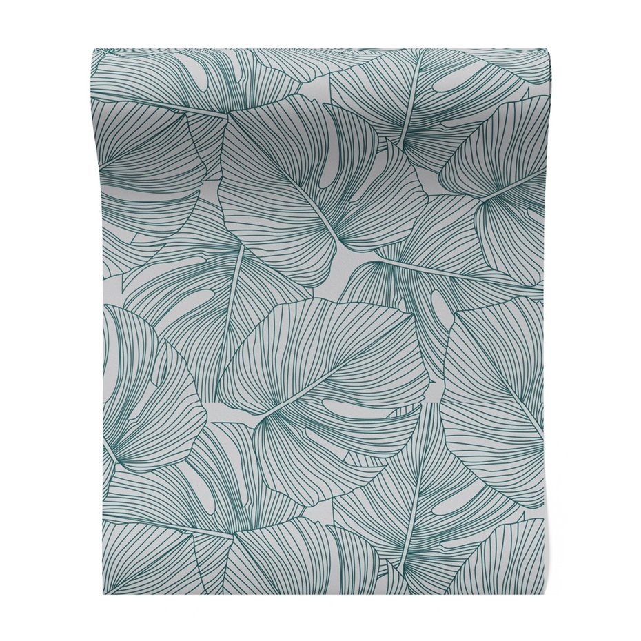 Tapeta - liście, monstera, natura