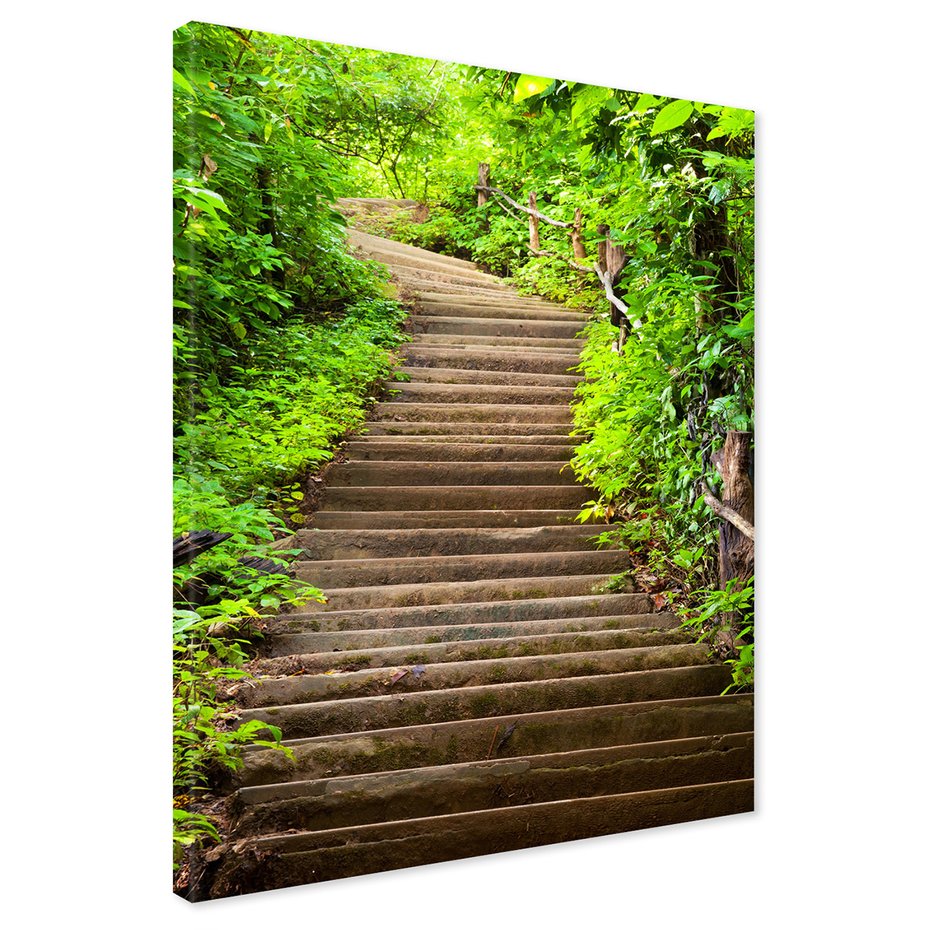 Obraz na płótnie - schody, las, natura