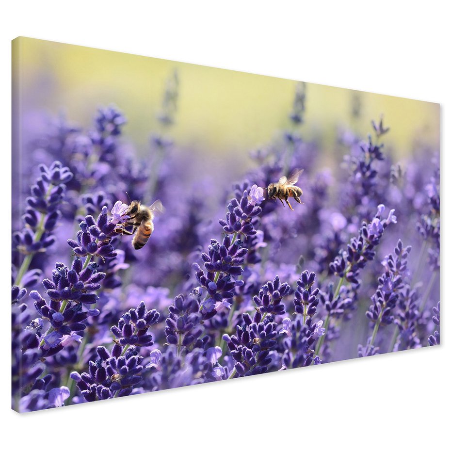 Obraz na płótnie - lawenda, pszczoły, kwiaty