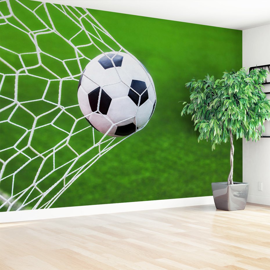 Fototapeta - piłka, siatka, gol