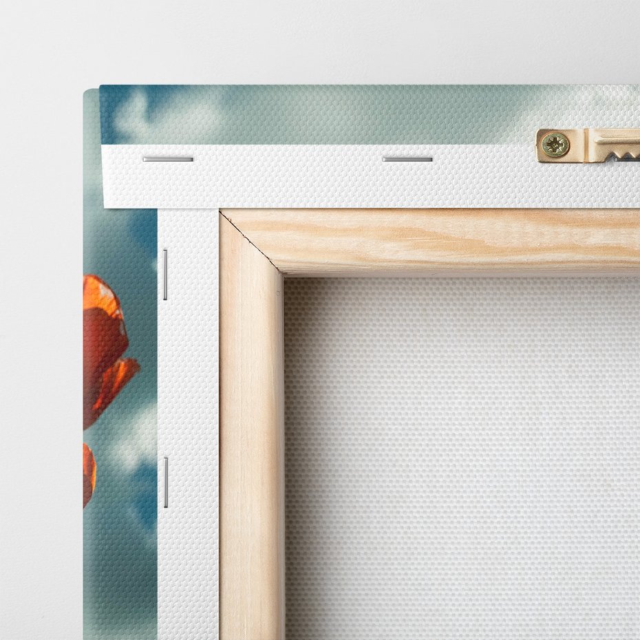 Obraz na płótnie - maki, kwiaty, niebo