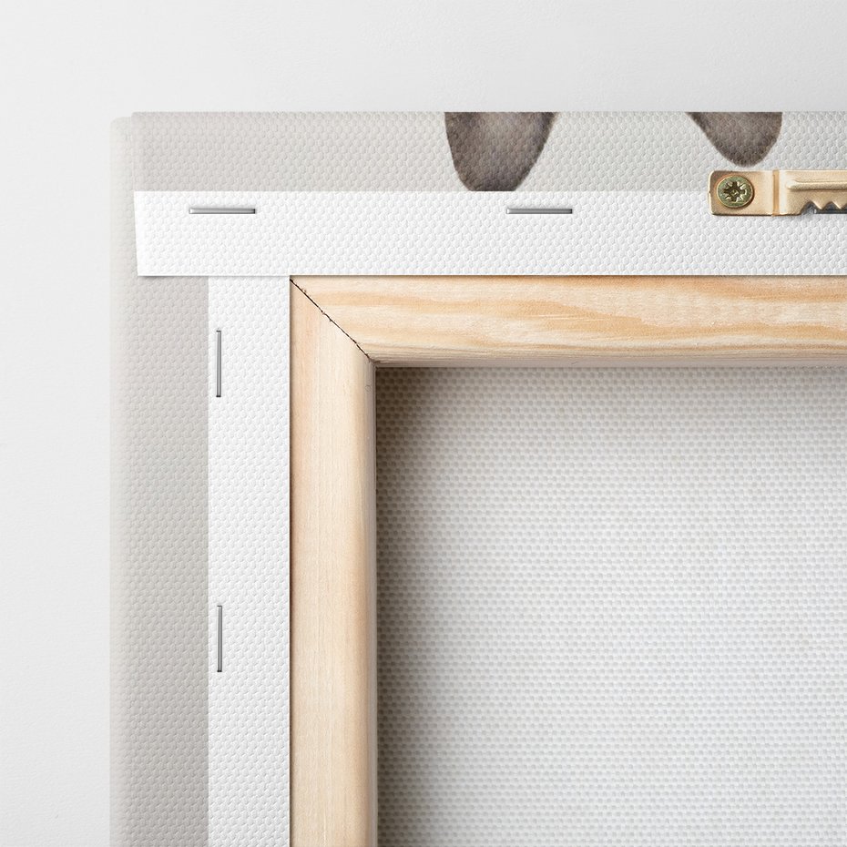 Obraz na płótnie - pies, buldog, zwierzę