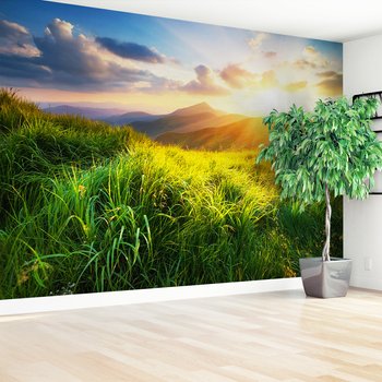 Fototapeta - góry, trawa, słońce