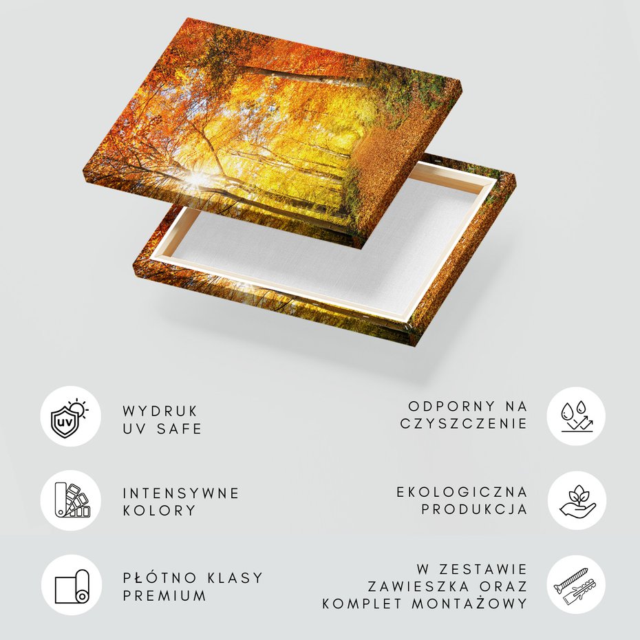 Obraz na płótnie - jesień, las, liście