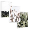 Zestaw obrazy w ramie, plakaty - góry, kaktus, rośliny - rama biała