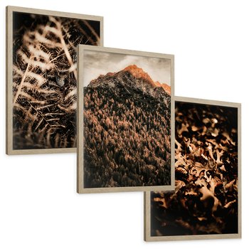 Zestaw obrazy w ramie, plakaty - natura, liście, góry - rama drewno