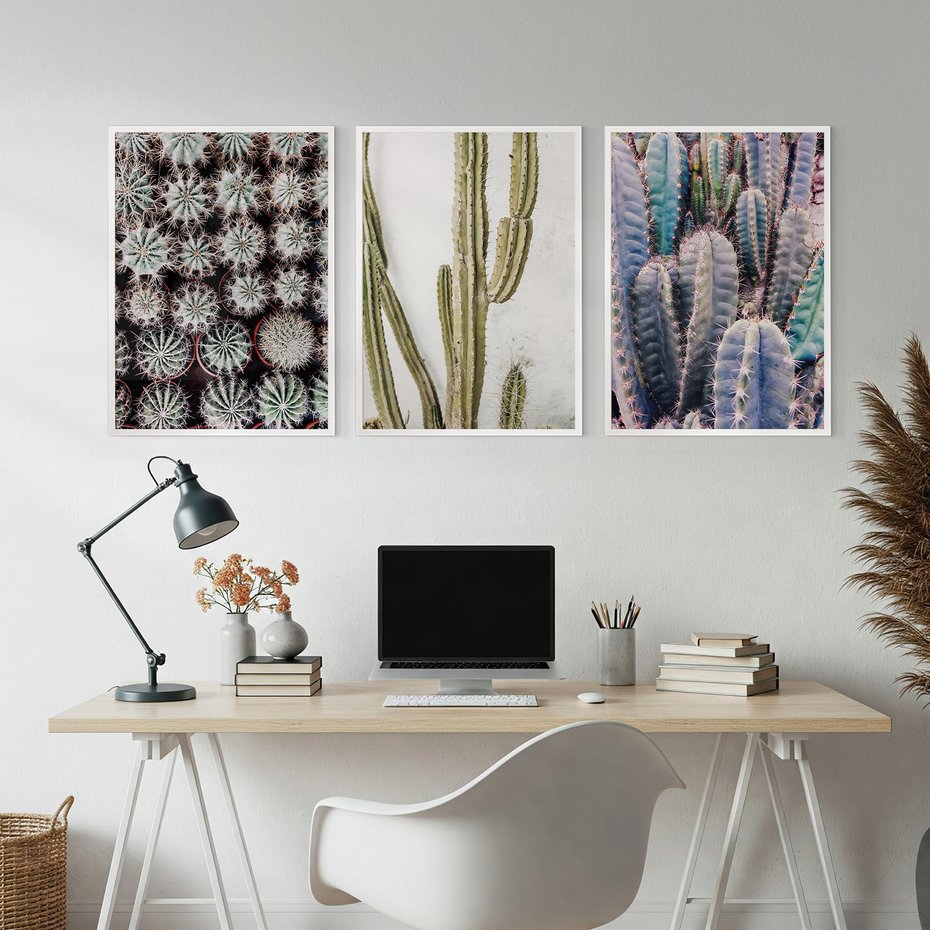 Zestaw obrazy w ramie, plakaty - kaktusy, rośliny, kolce - rama biała