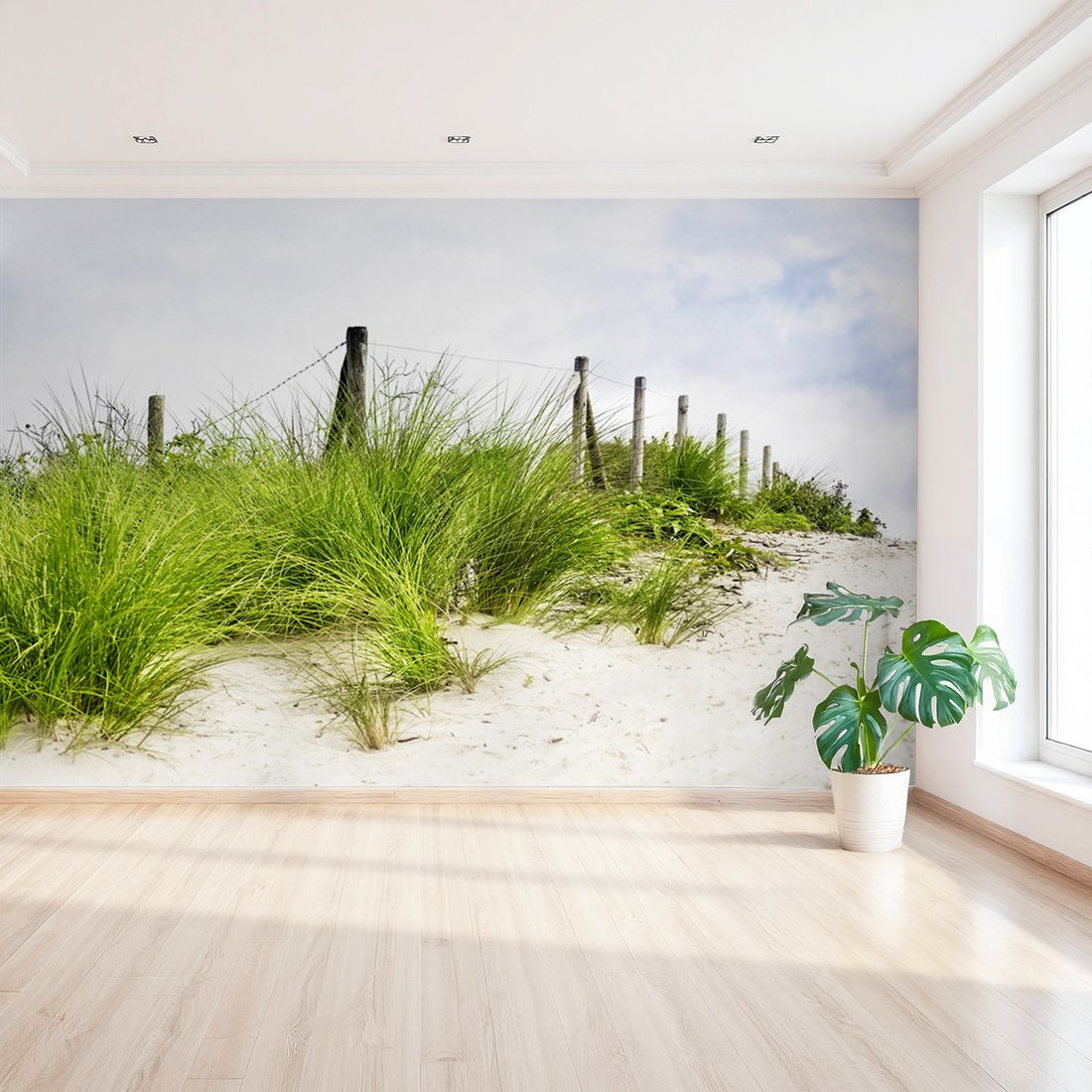 Fototapeta - wydma, trawa, plaża