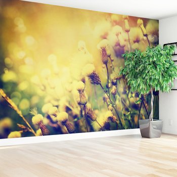 Fototapeta - kwiaty, natura, lato