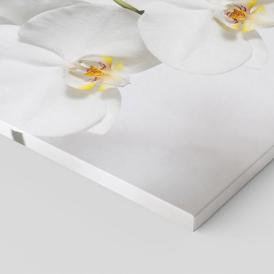 Obraz na płótnie - orchidee, kwiaty, białe,