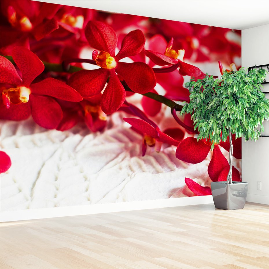 Fototapeta - kwiaty, czerwone, orchidee