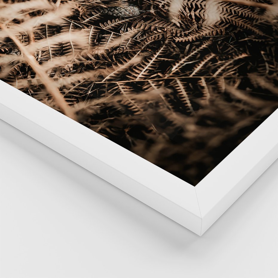 Zestaw obrazy w ramie, plakaty - natura, liście, góry - rama biała